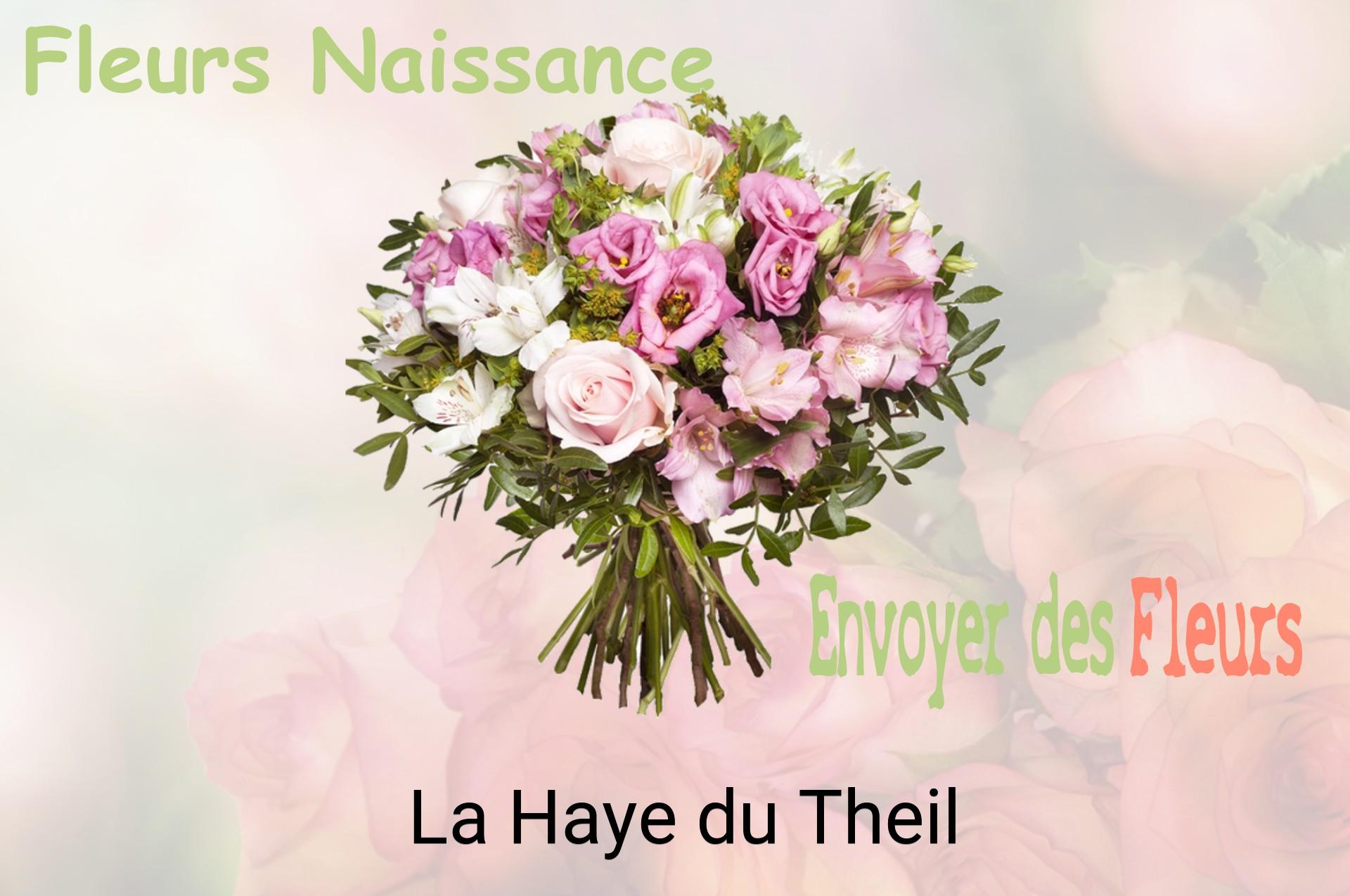 Bouquet de fleurs de naissance livré à La Haye-du-Theil